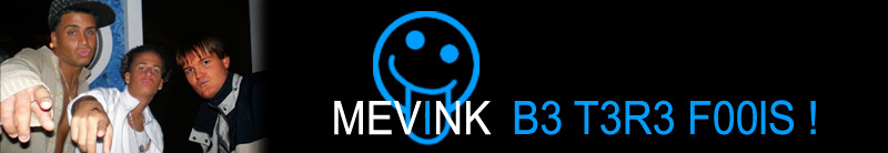 Mevink schuurlan 5: Nieuwjaars editie 2009 Mevink schuurlan 5: Nieuwjaars editie 2009 Banner
